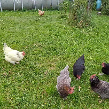 Little Tiny Village Haus 1 Fussach