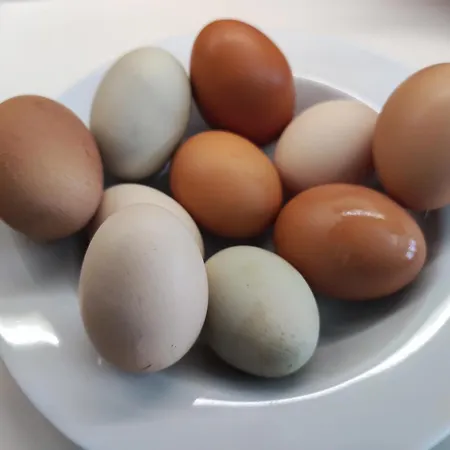 Little Tiny Village Haus 1 *